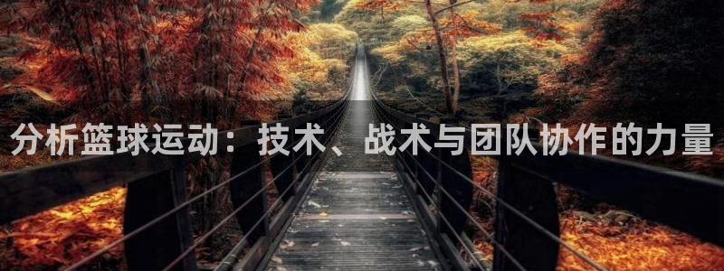 分析篮球运动：技术、战术与团队协作的力量