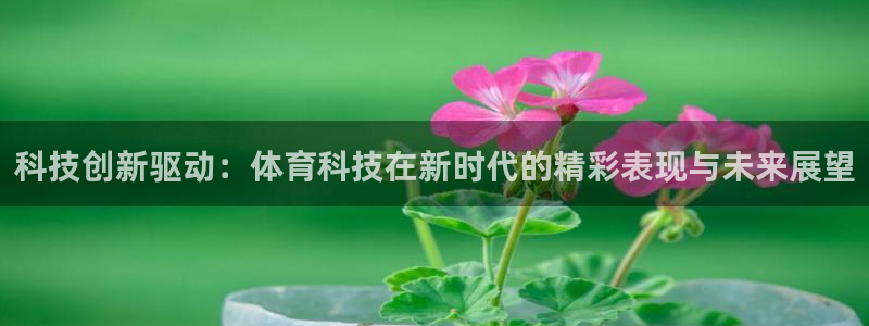 科技创新驱动：体育科技在新时代的精彩表现与未来展望