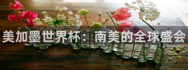 美加墨世界杯：南美的全球盛会