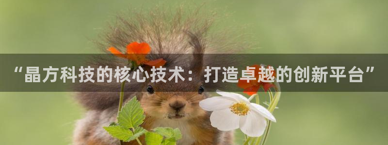 “晶方科技的核心技术：打造卓越的创新平台”