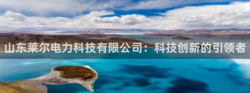 山东莱尔电力科技有限公司：科技创新的引领者