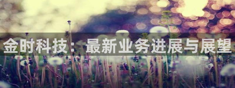 金时科技：最新业务进展与展望