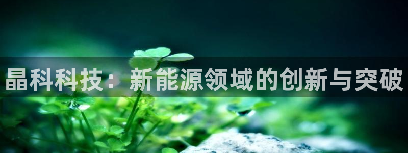 晶科科技：新能源领域的创新与突破
