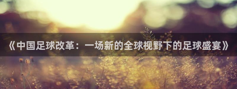 《中国足球改革：一场新的全球视野下的足球盛宴》