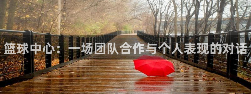 篮球中心：一场团队合作与个人表现的对话