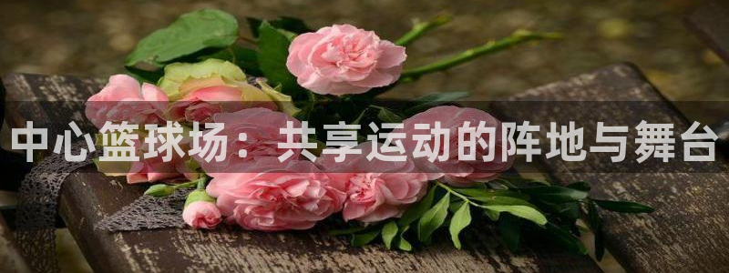中心篮球场：共享运动的阵地与舞台