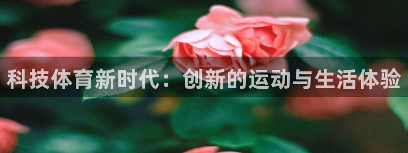 科技体育新时代：创新的运动与生活体验