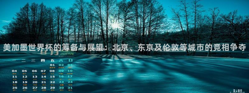 美加墨世界杯的筹备与展望：北京、东京及伦敦等城市的竞相争夺