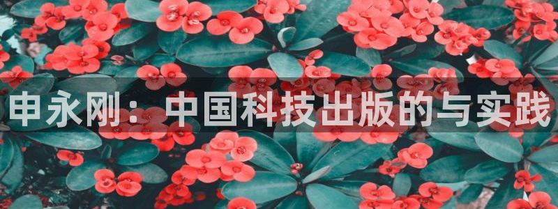 申永刚：中国科技出版的与实践