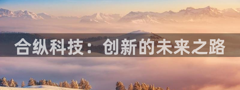 合纵科技：创新的未来之路