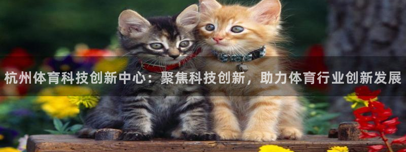 杭州体育科技创新中心：聚焦科技创新，助力体育行业创新发展