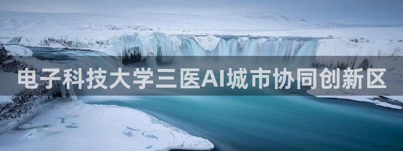 电子科技大学三医AI城市协同创新区