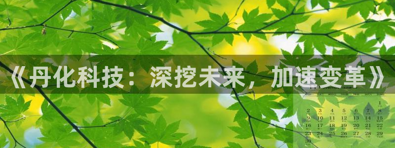 《丹化科技：深挖未来，加速变革》